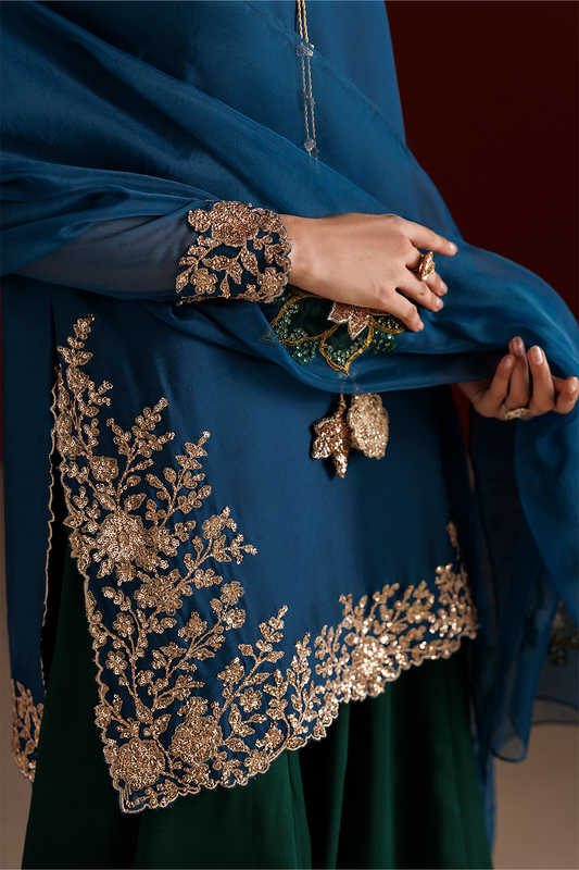 CC-102 Embroidered Chiffon