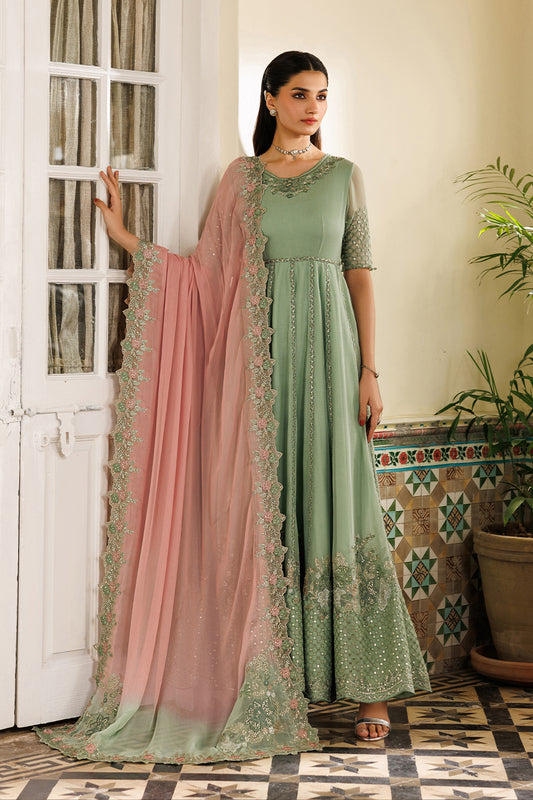 CC-99 Embroidered Chiffon