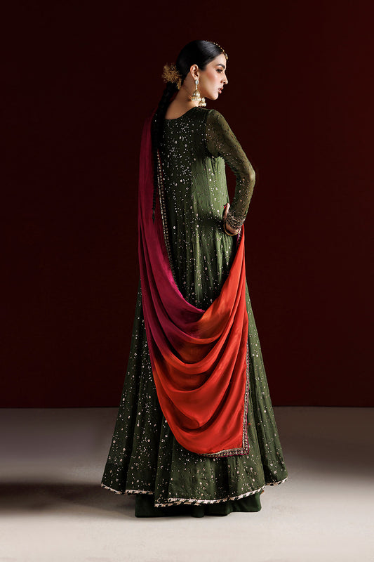 CC-105 Embroidered Chiffon