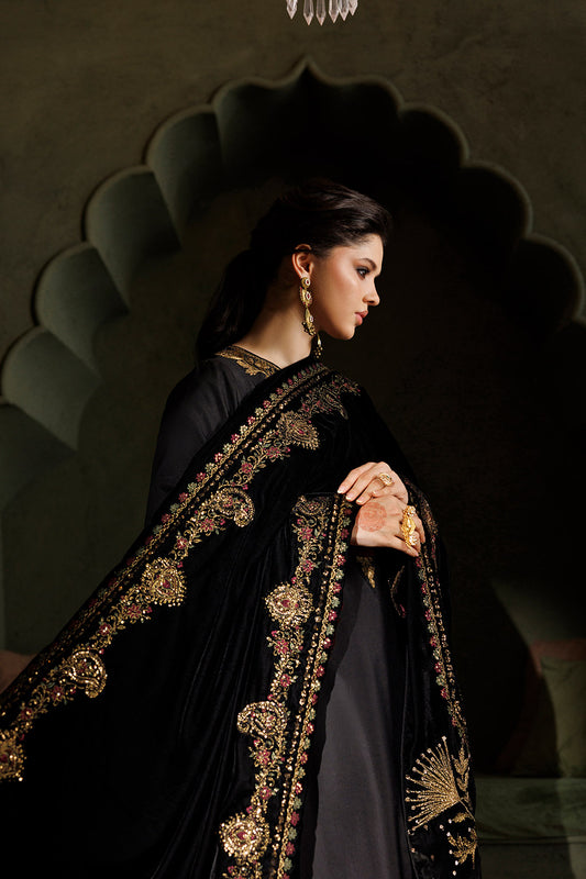 IV-80 Embroidered Sheesha Silk