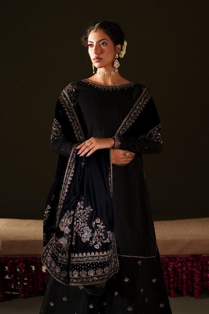 IV-72  Embroidered Velvet