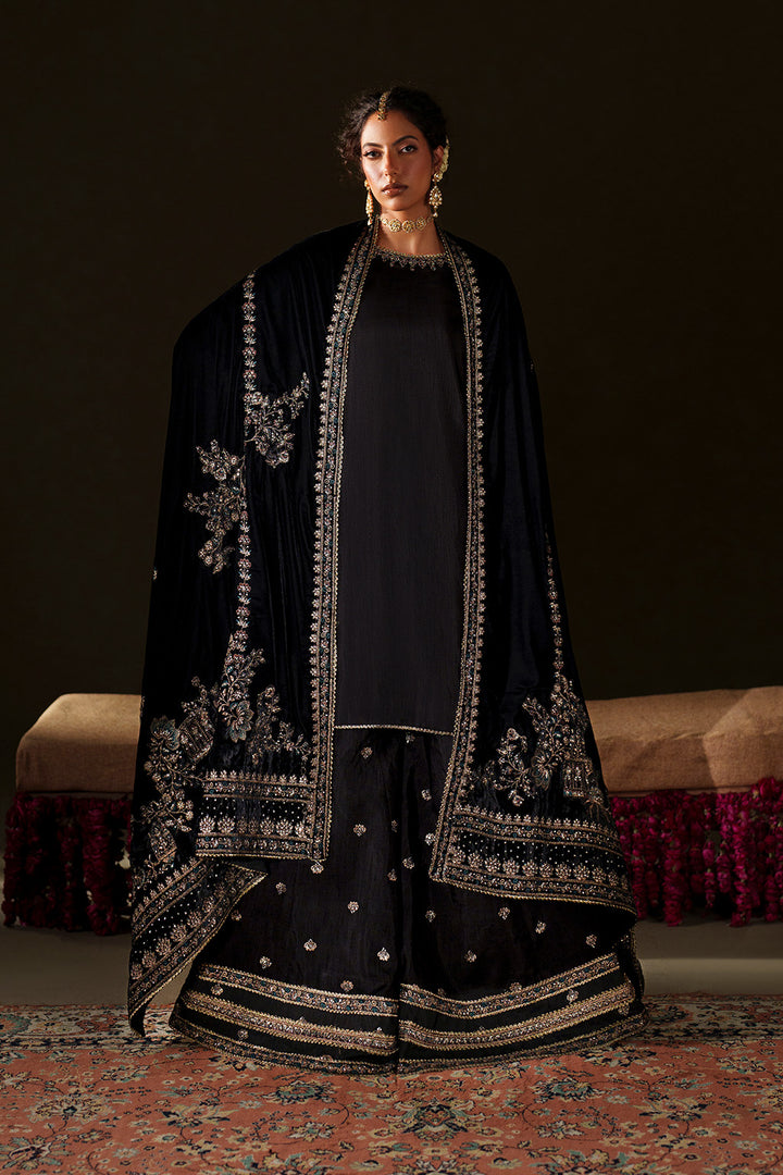IV-72  Embroidered Velvet
