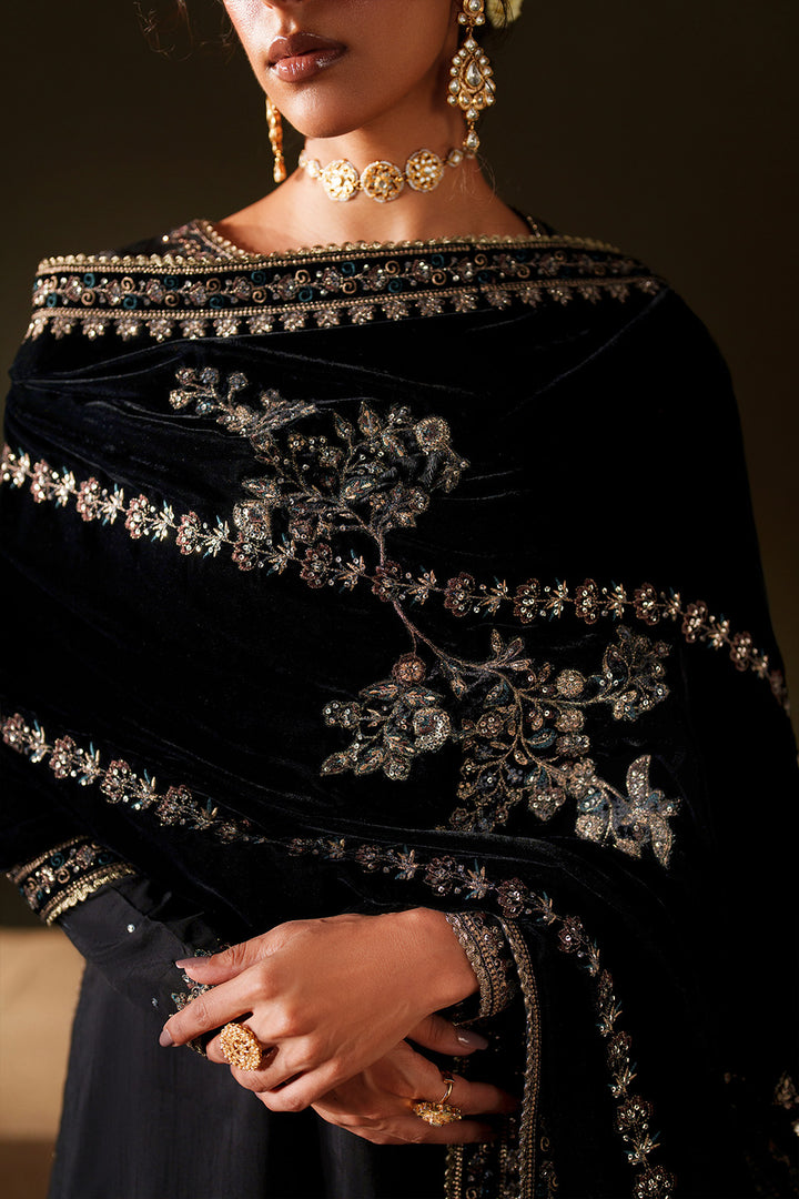 IV-72  Embroidered Velvet