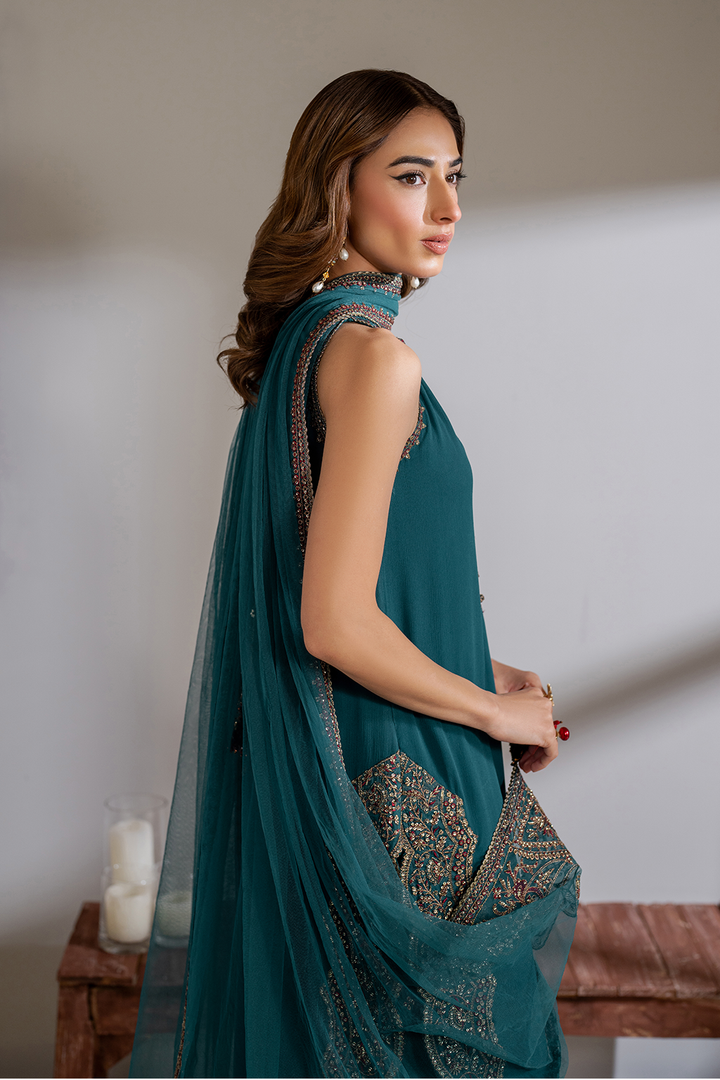 CC-51 Embroidered Chiffon