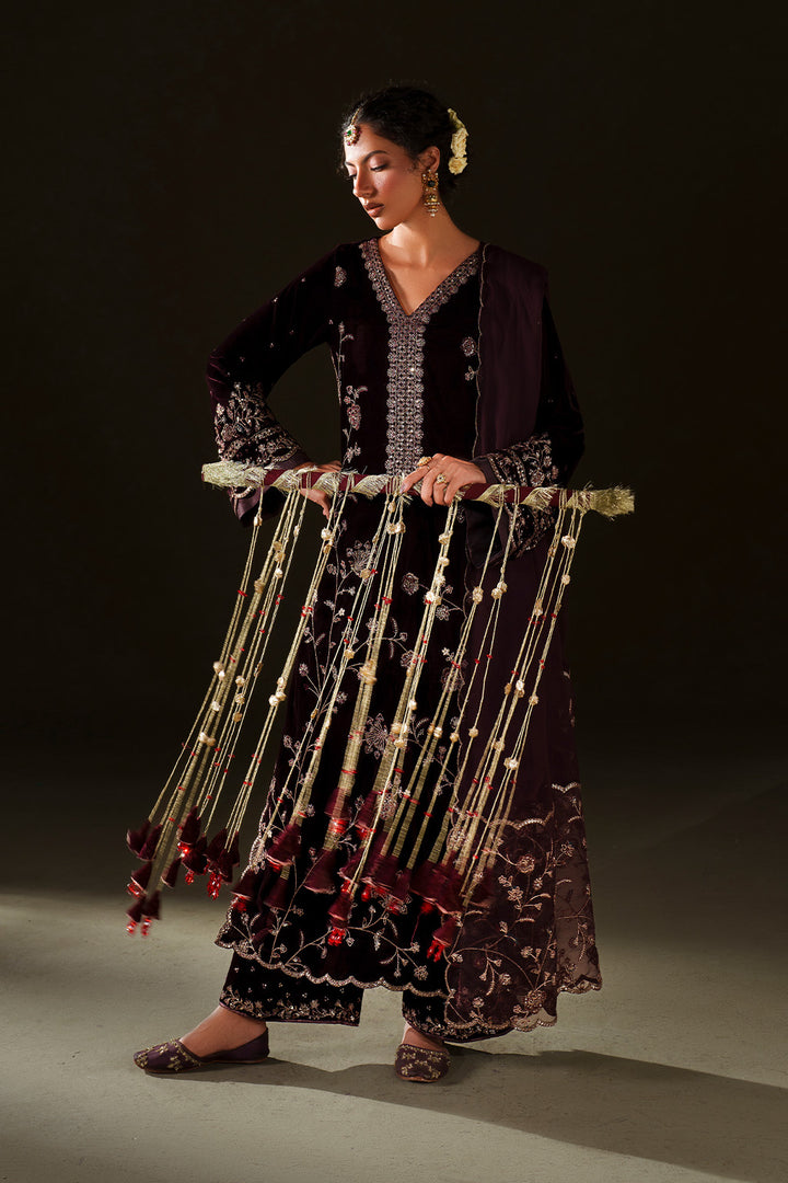IV-70  Embroidered Velvet