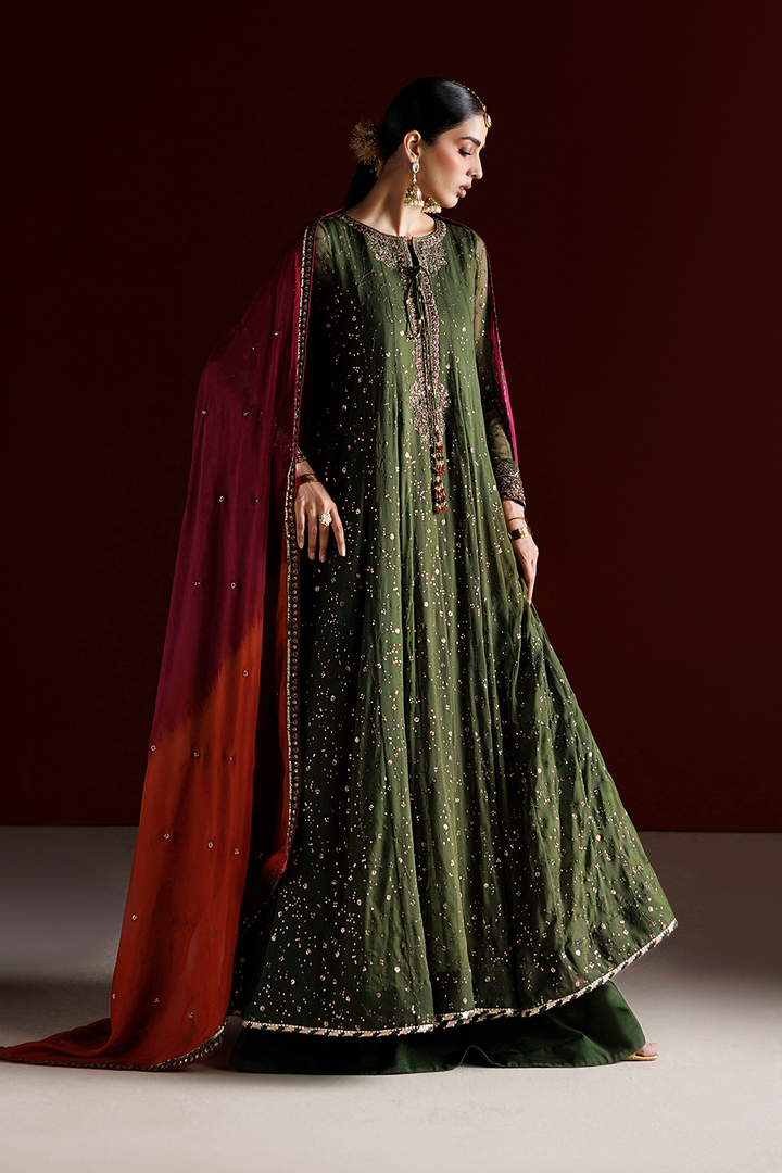 CC-105 Embroidered Chiffon