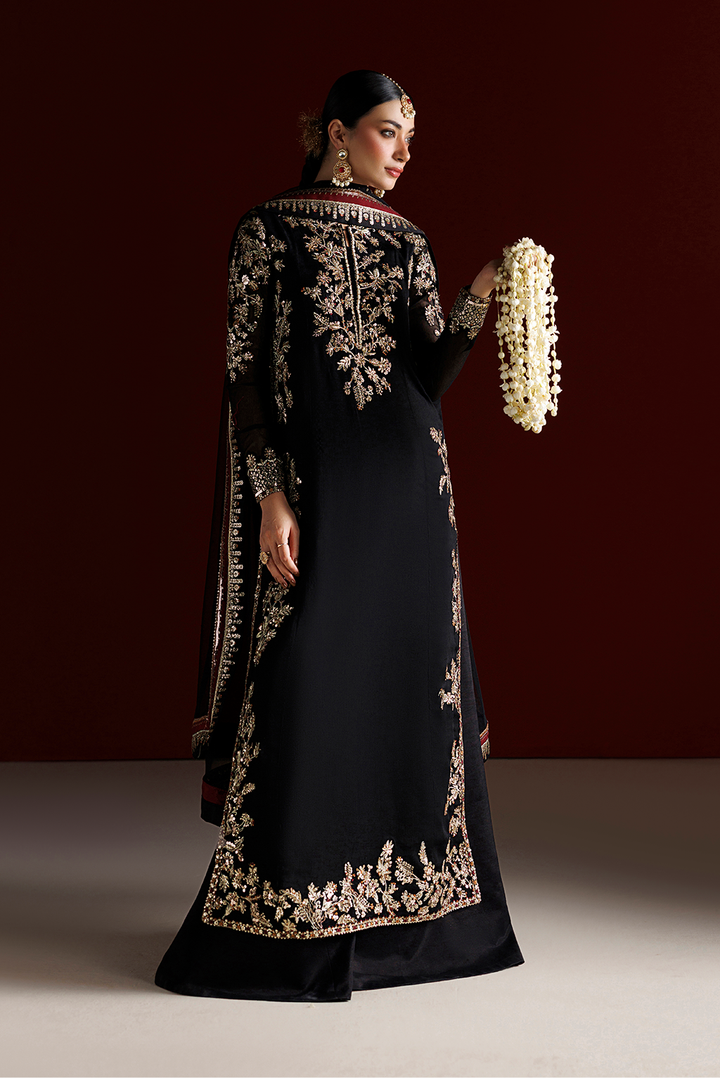 CC-107 Embroidered Chiffon
