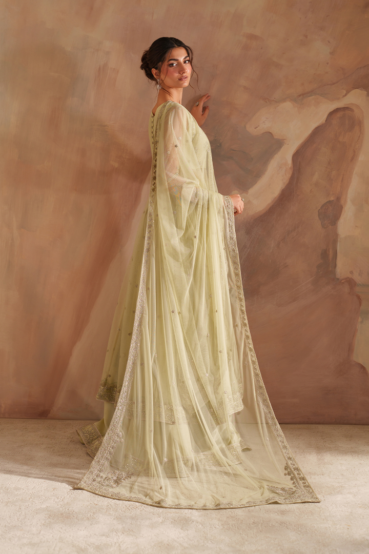 CC-73 Embroidered Net