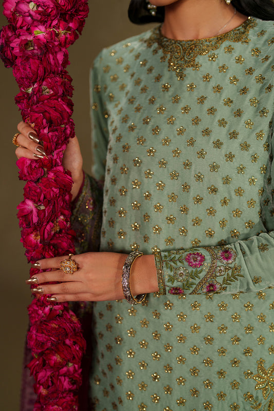IV-73  Embroidered Velvet