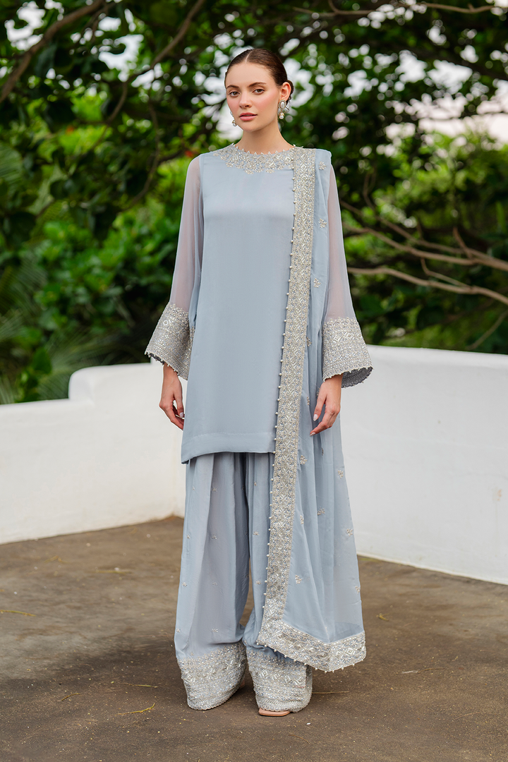 CC-70 Embroidered Chiffon - Iznik