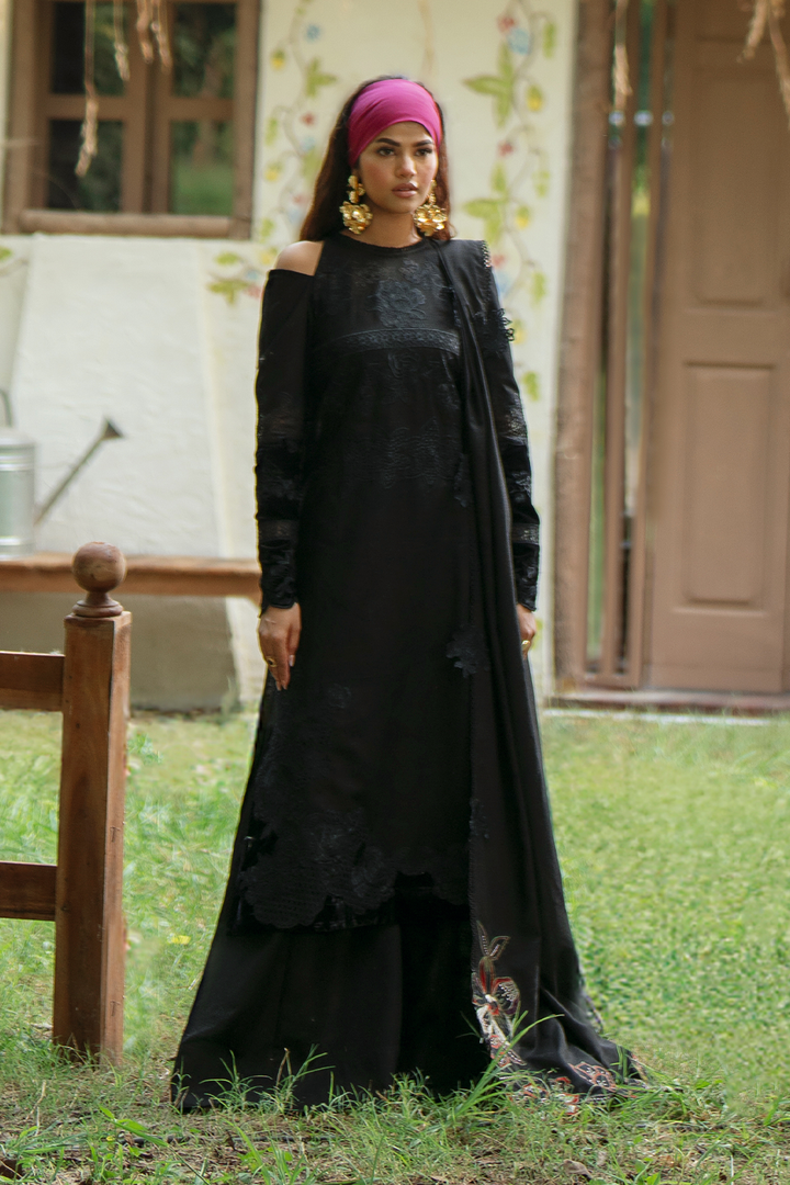 IPK-11 Embroidered Khaddar