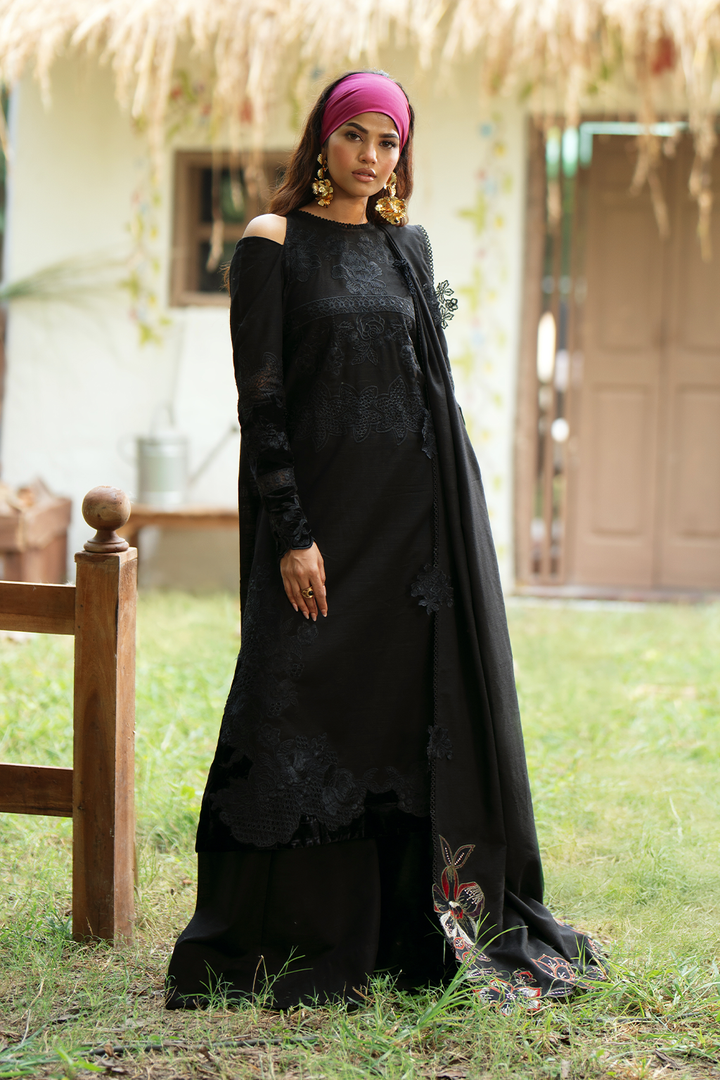 IPK-11 Embroidered Khaddar