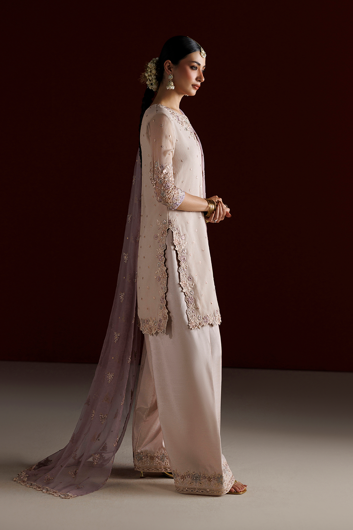 CC-104 Embroidered Chiffon
