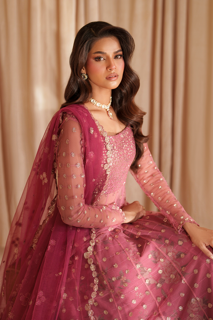 CC-72  Embroidered Net - Iznik