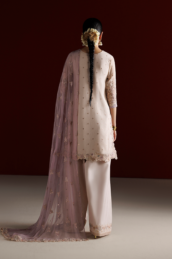 CC-104 Embroidered Chiffon