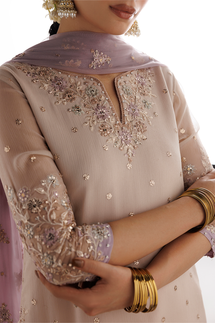 CC-104 Embroidered Chiffon