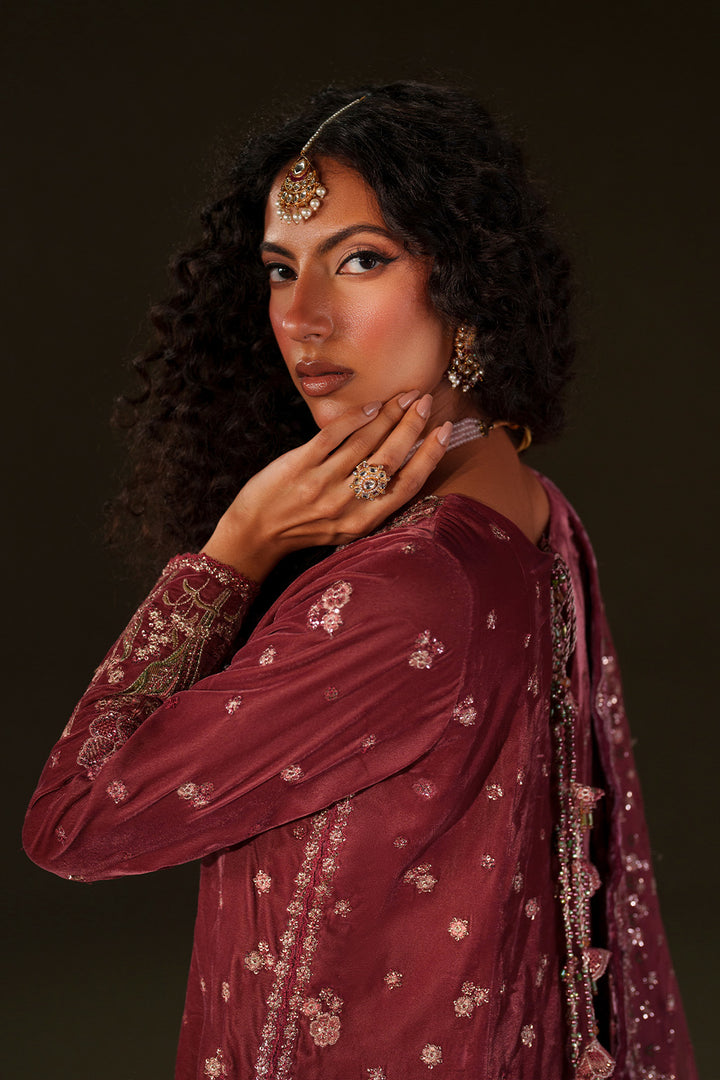 IV-75  Embroidered Velvet