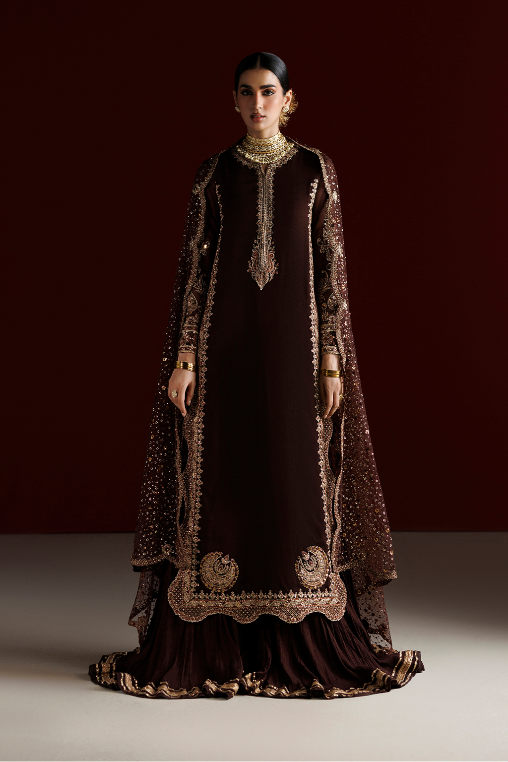 CC-113 Embroidered Chiffon