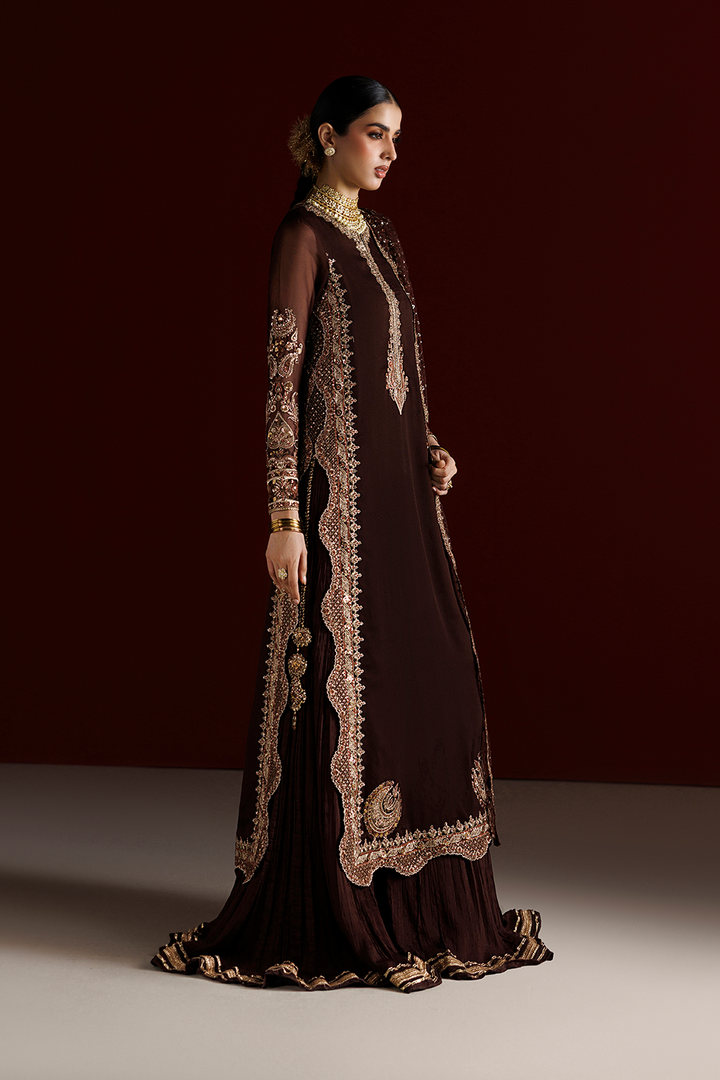 CC-113 Embroidered Chiffon