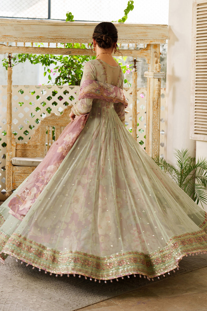 UE-542  Printed Formals