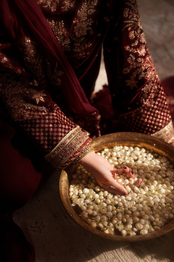 IV-55 Embroidered Velvet