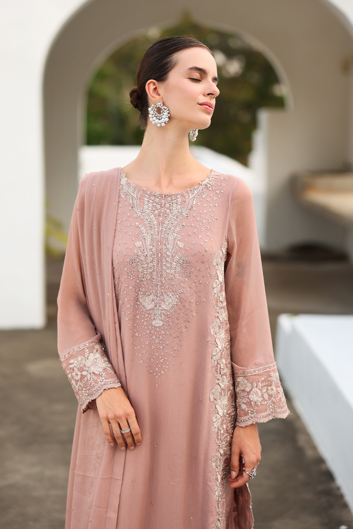 CC-69 Embroidered Chiffon - Iznik