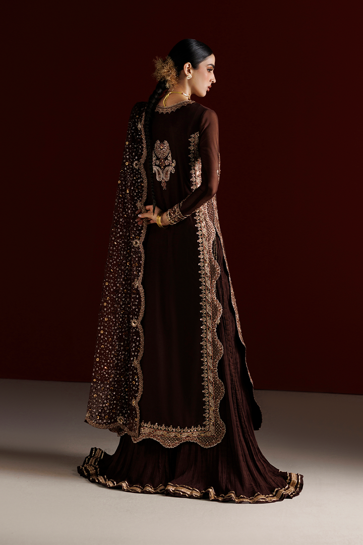 CC-113 Embroidered Chiffon