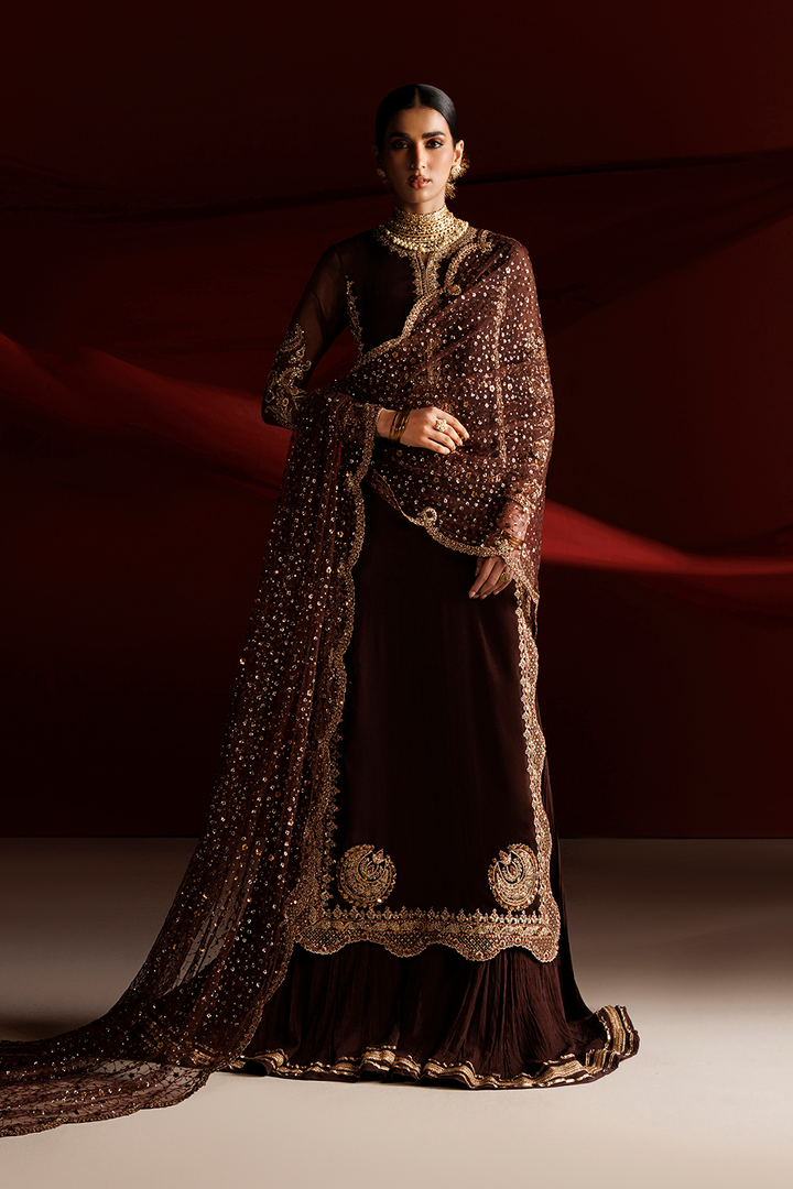 CC-113 Embroidered Chiffon