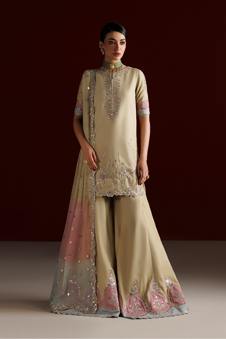 CC-108 Embroidered Chiffon
