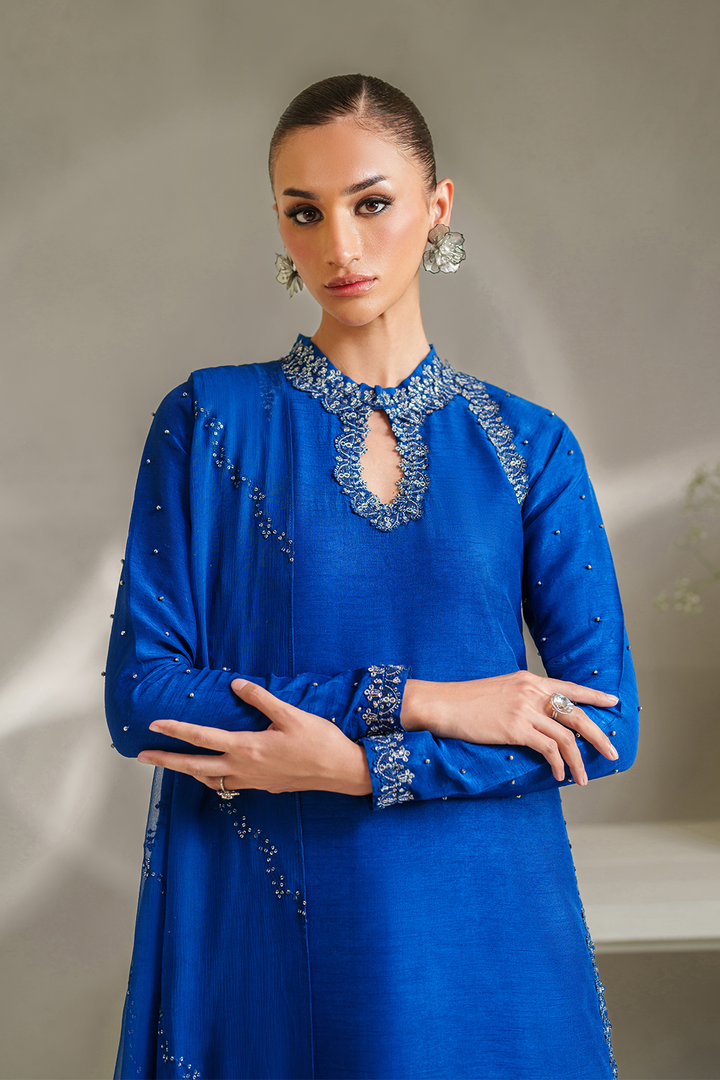 IP-336 Embroidered Rawsilk
