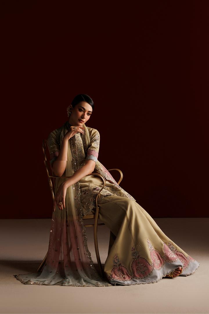 CC-108 Embroidered Chiffon