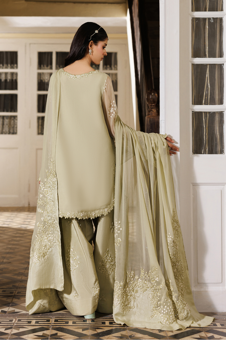 CC-101 Embroidered Chiffon