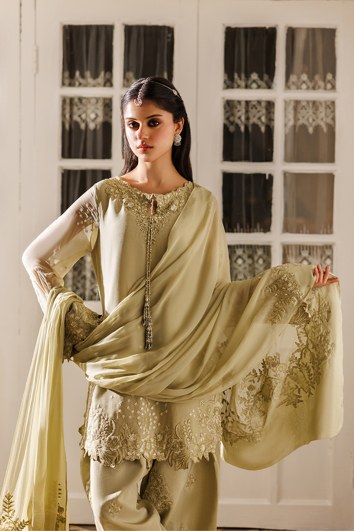 CC-101 Embroidered Chiffon