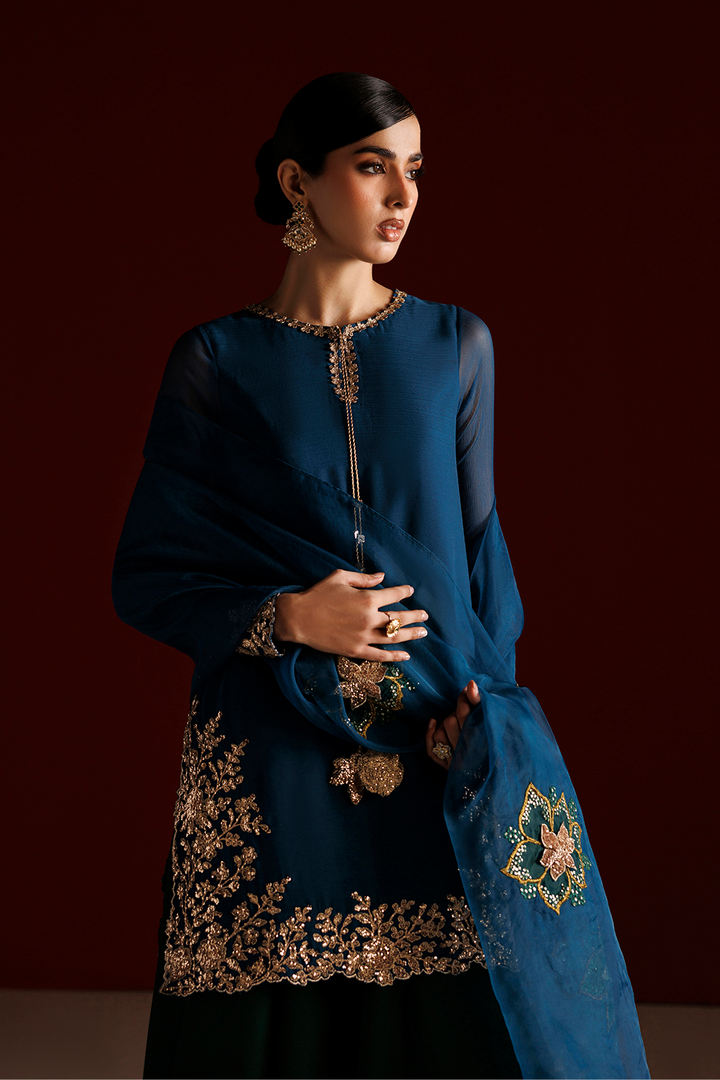 CC-102 Embroidered Chiffon