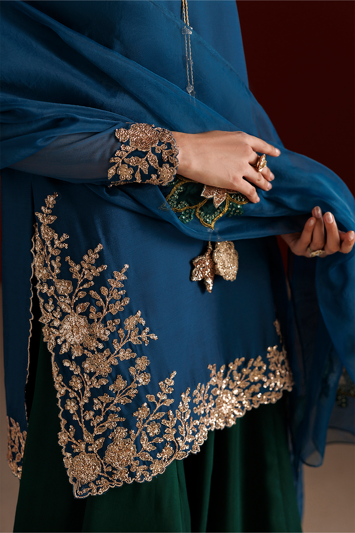 CC-102 Embroidered Chiffon
