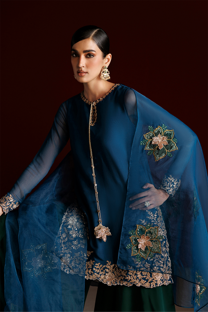CC-102 Embroidered Chiffon