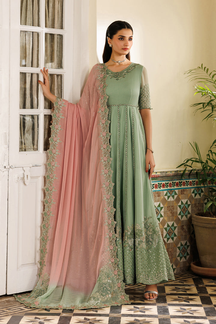 CC-99 Embroidered Chiffon