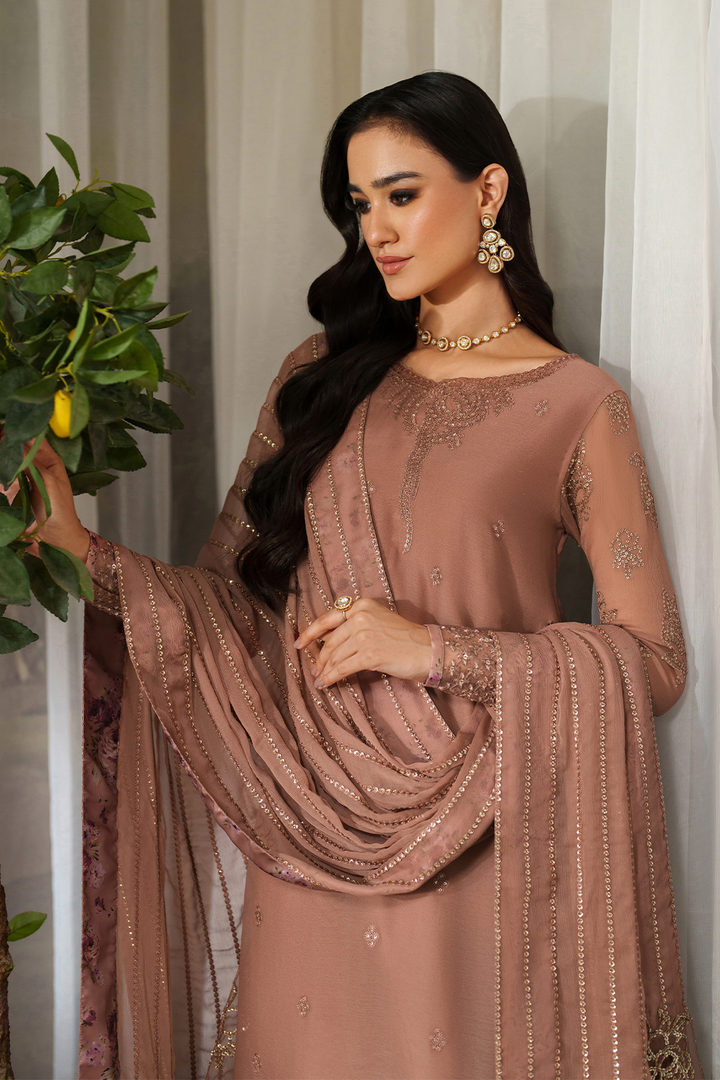 CC-87 Embroidered Chiffon