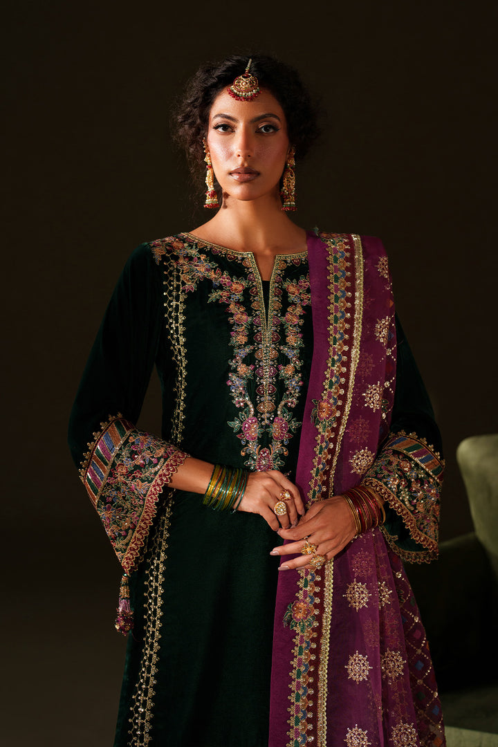 IV-74  Embroidered Velvet