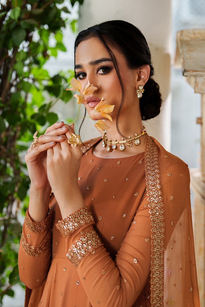 CC-88 Embroidered Chiffon