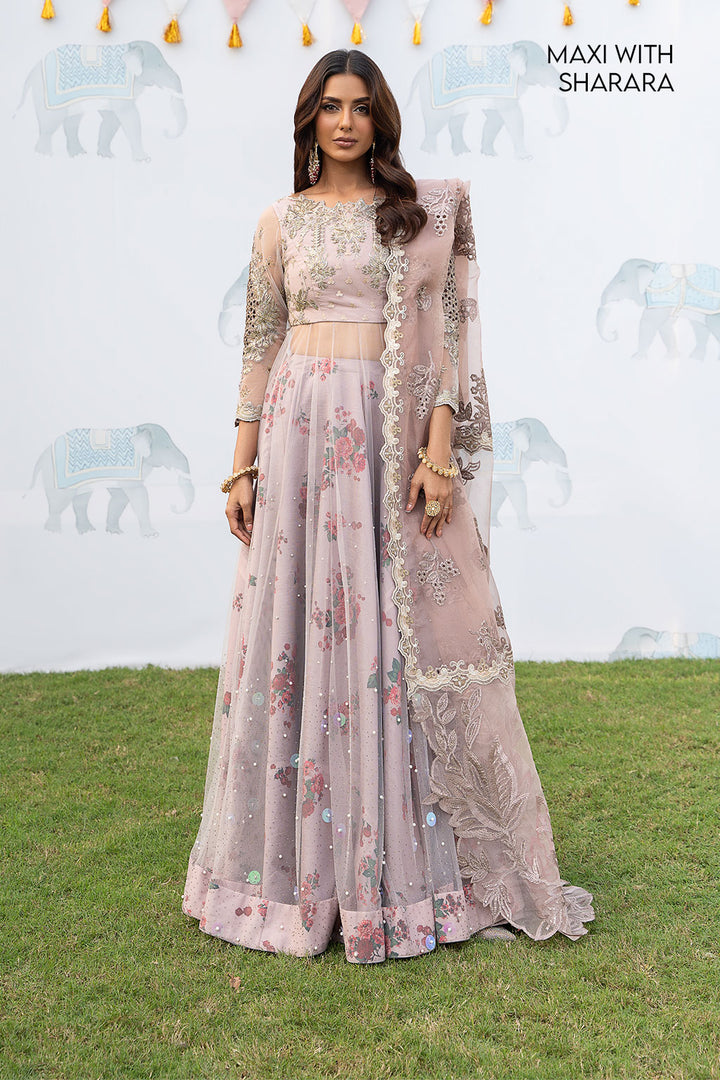 ISC-01 Saahira - Iznik