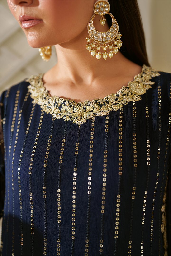 CC-89 Embroidered Chiffon