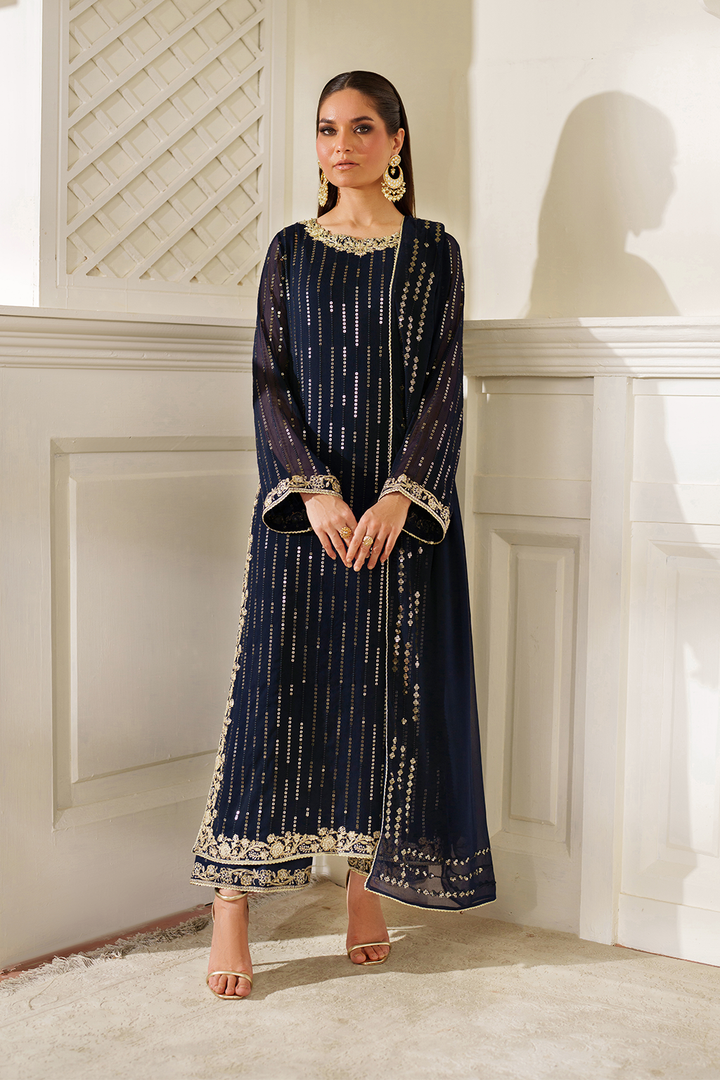 CC-89 Embroidered Chiffon
