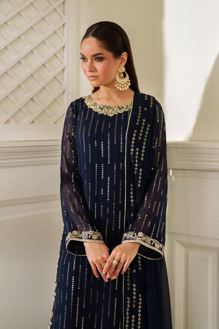 CC-89 Embroidered Chiffon