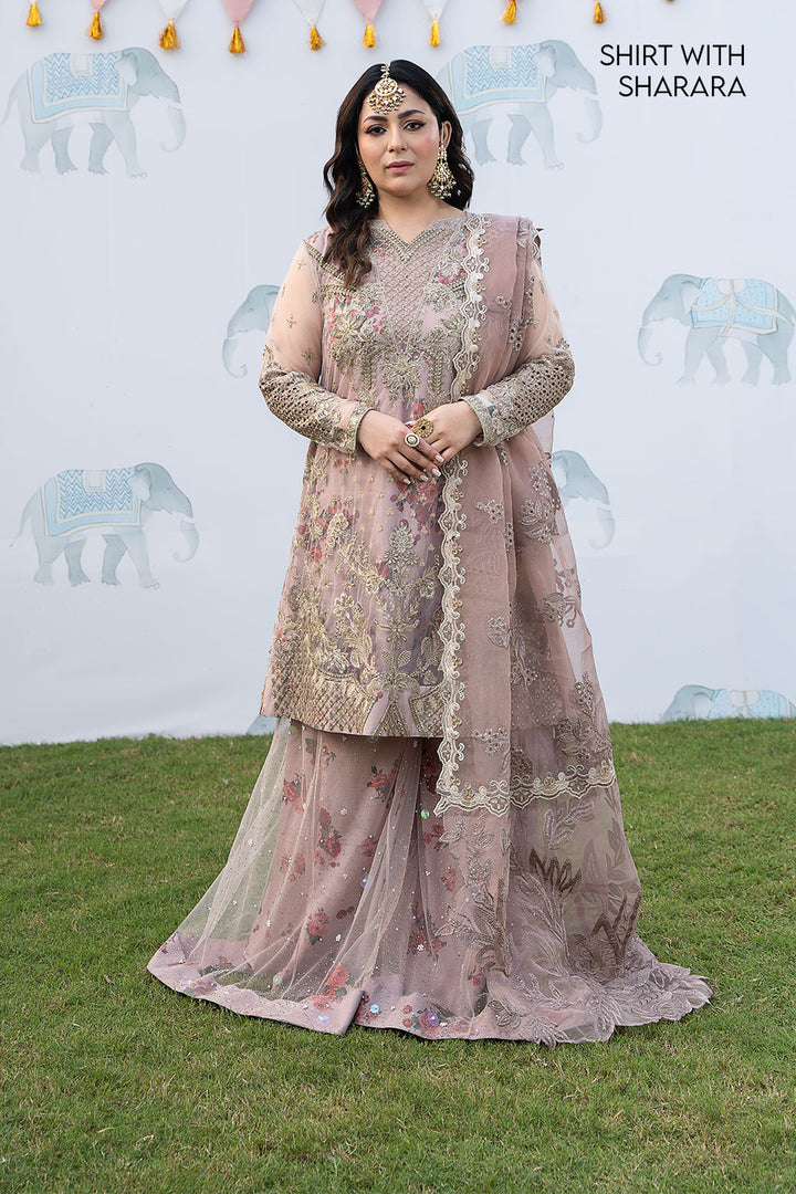 ISC-01 Saahira - Iznik