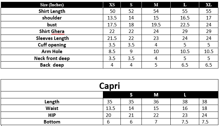 IP-276  Embroidered Chiffon Size Chart