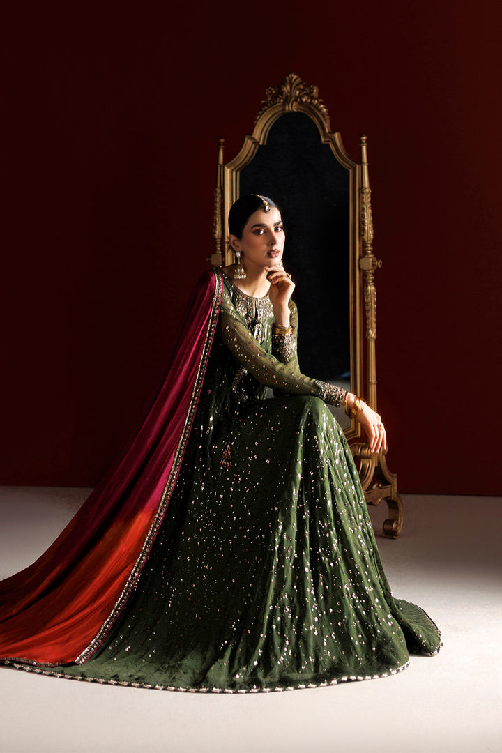 CC-105 Embroidered Chiffon