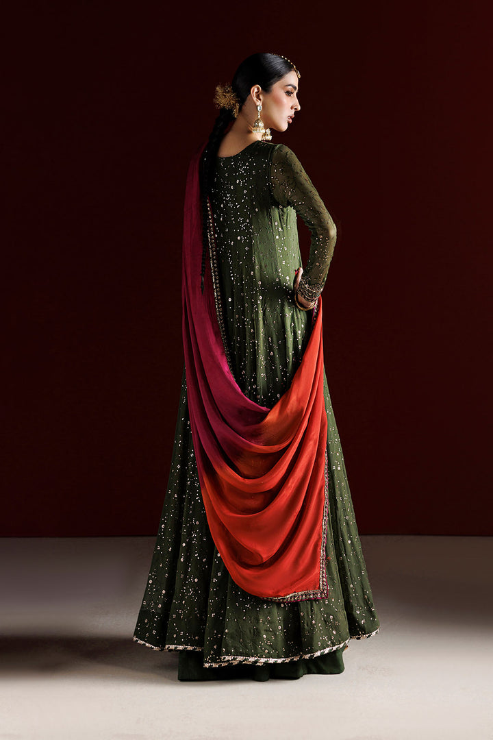 CC-105 Embroidered Chiffon