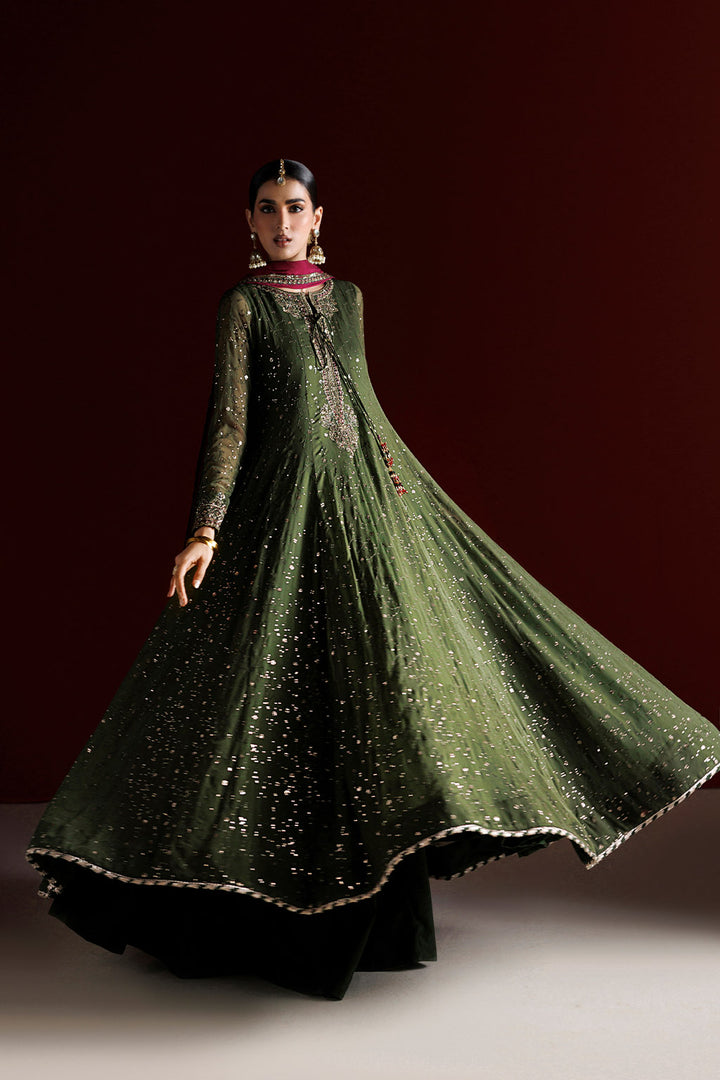 CC-105 Embroidered Chiffon