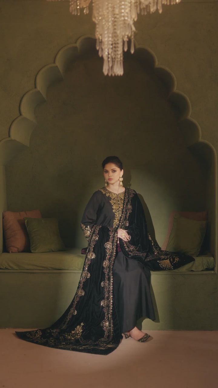 IV-80 Embroidered Sheesha Silk